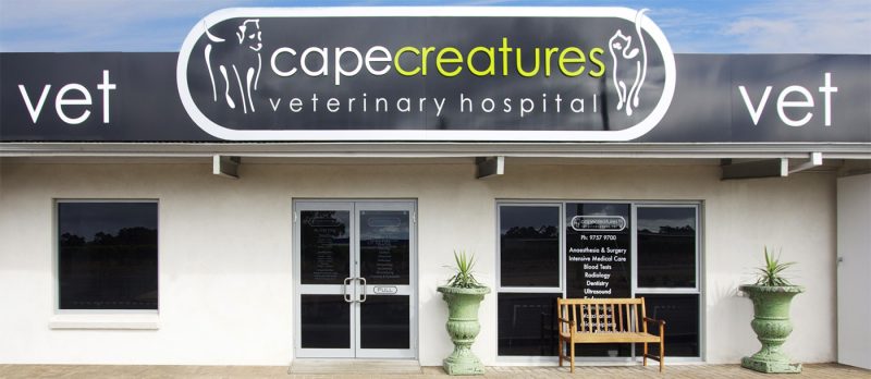 Entrance - Cape Creatures Vet